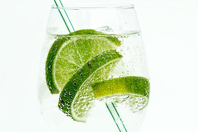 Historien om gin: Fra medicin til moderne mesterværk
